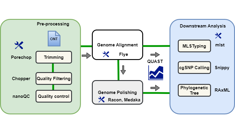 ONT-R9-vs-ONT-R10-vs